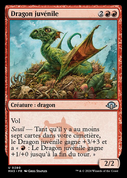 Fledgling Dragon