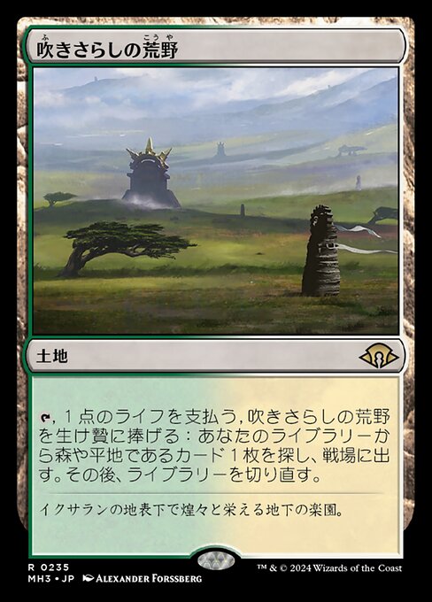 吹きさらしの荒野