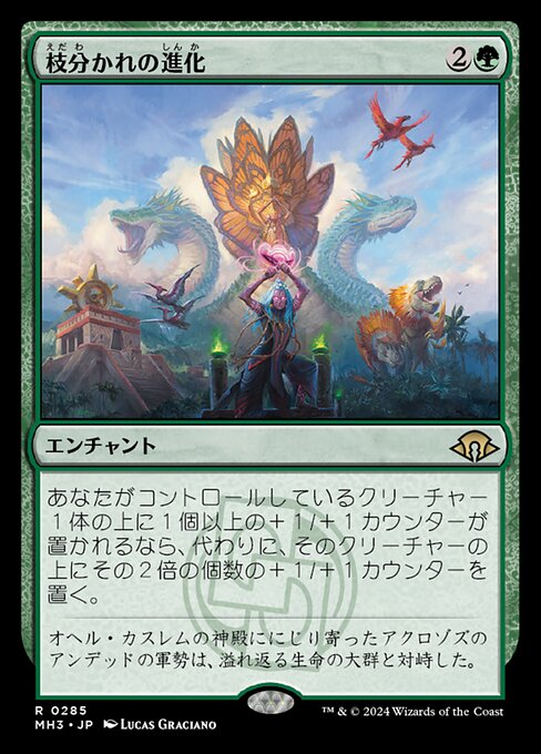 枝分かれの進化