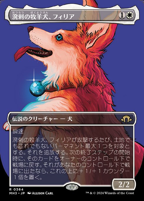 溌剌の牧羊犬、フィリア