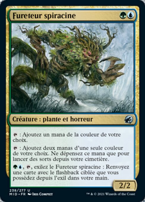 Rootcoil Creeper