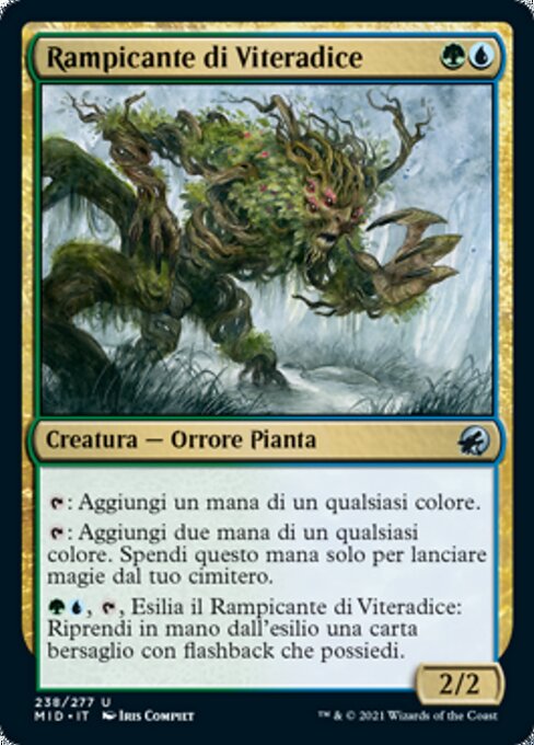 Rootcoil Creeper