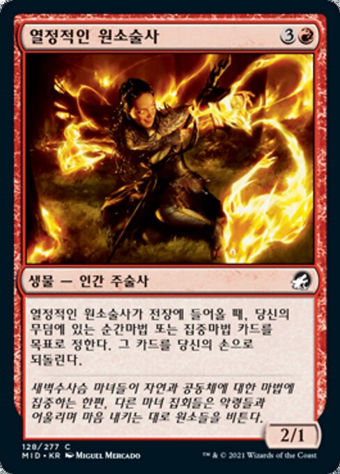 열정적인 원소술사