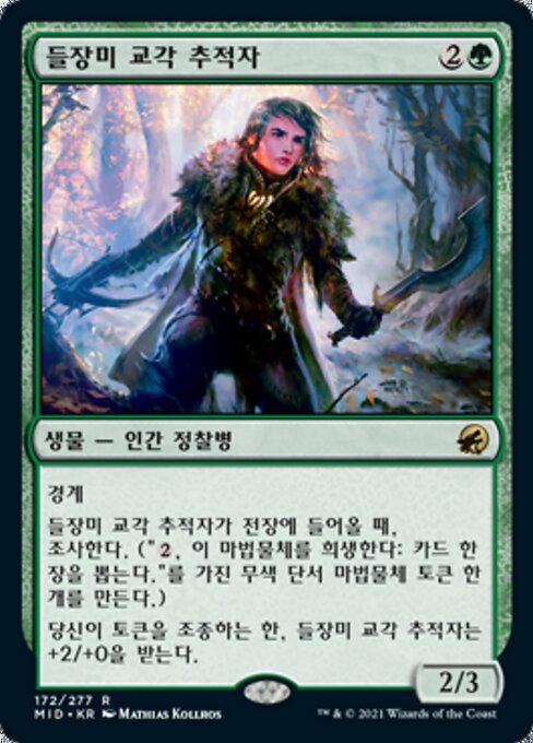 들장미 교각 추적자