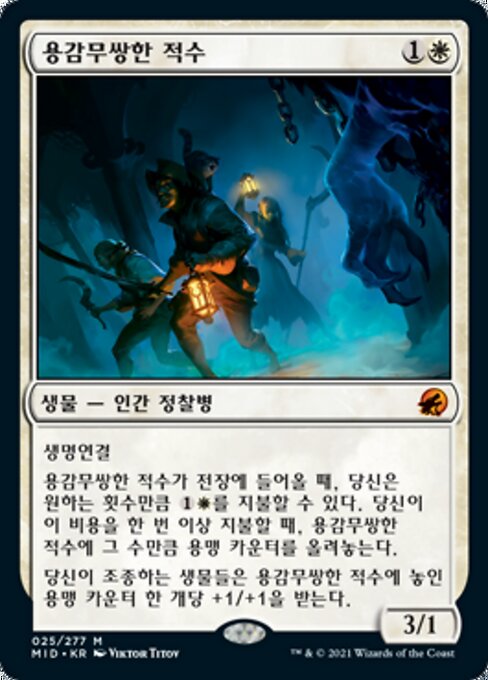 용감무쌍한 적수