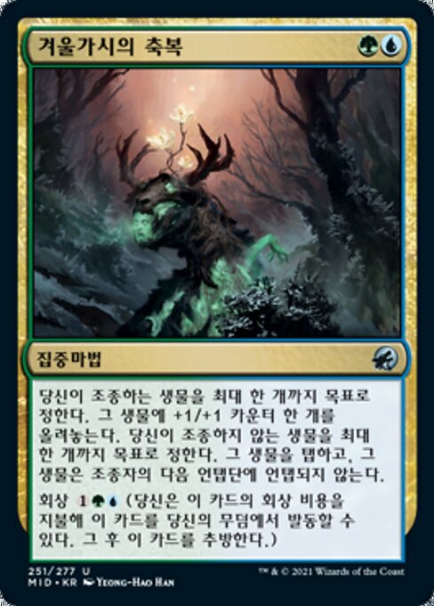 겨울가시의 축복