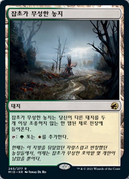 잡초가 무성한 농지