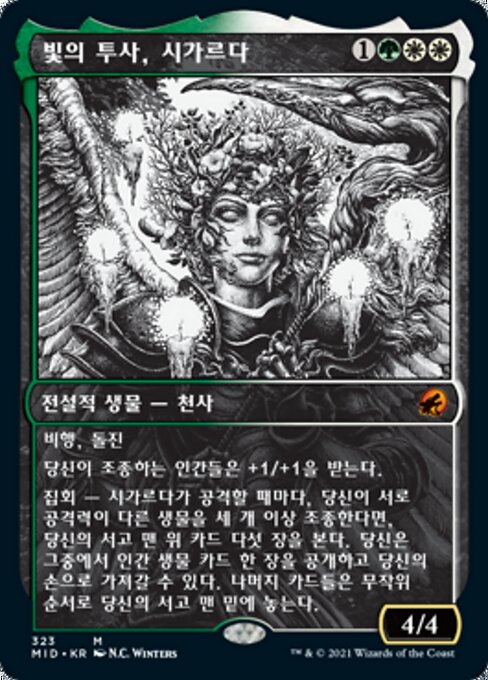 빛의 투사, 시가르다