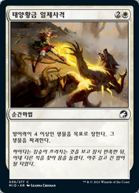 태양황금 일제사격