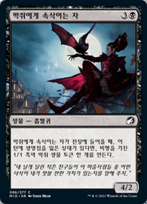 박쥐에게 속삭이는 자