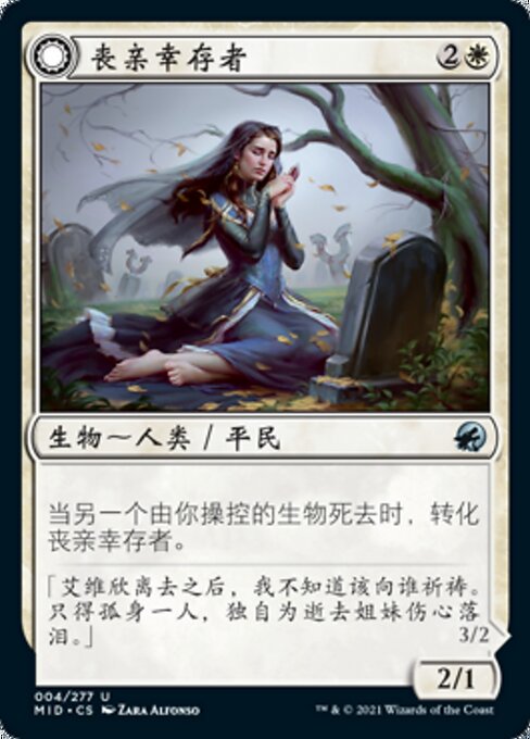 Bereaved Survivor // Dauntless Avenger