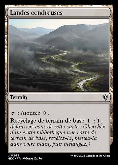 Ash Barrens