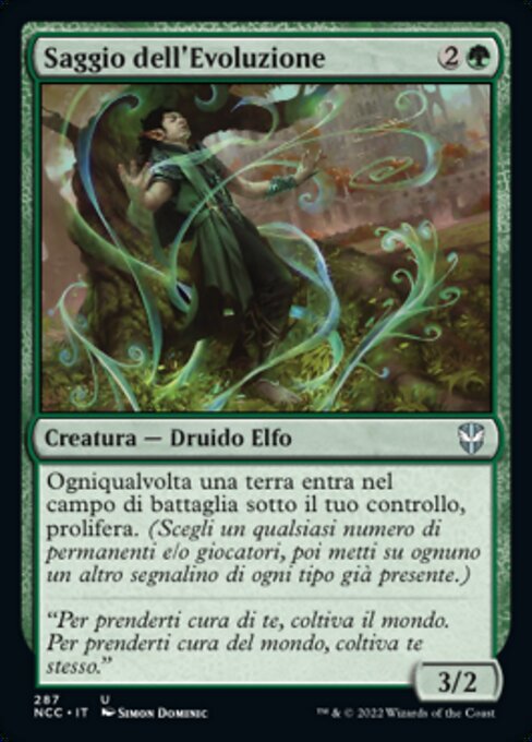 Saggio dell'Evoluzione