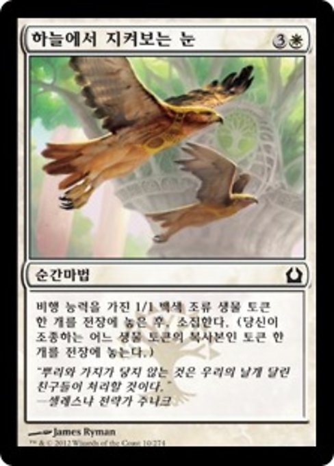 하늘에서 지켜보는 눈