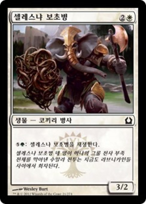 셀레스냐 보초병