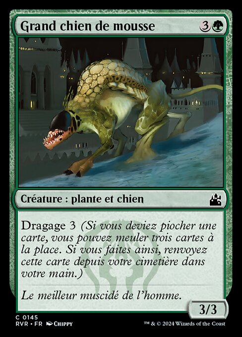 Grand chien de mousse