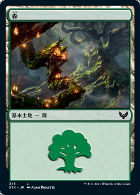 森