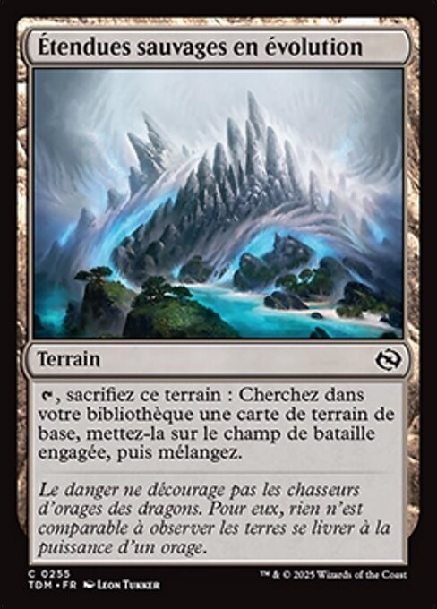 Evolving Wilds