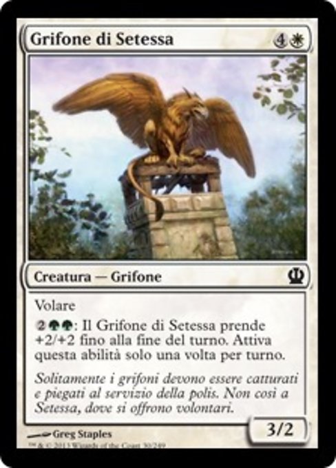 Grifone di Setessa