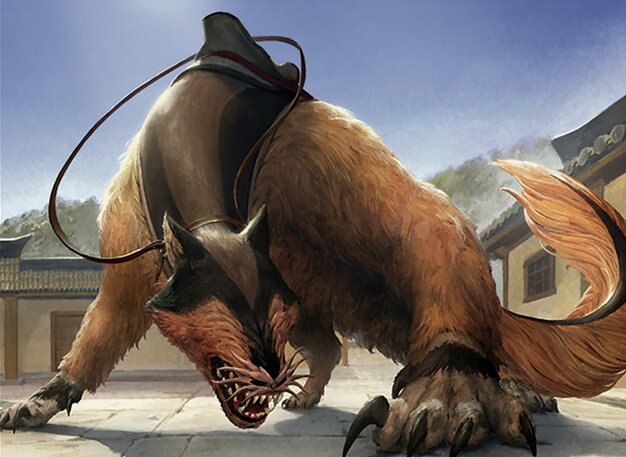 Nyla, limier shirshu