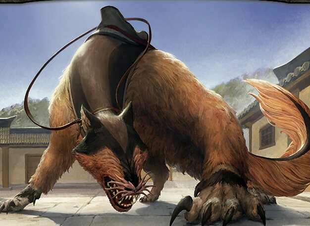 Nyla, limier shirshu