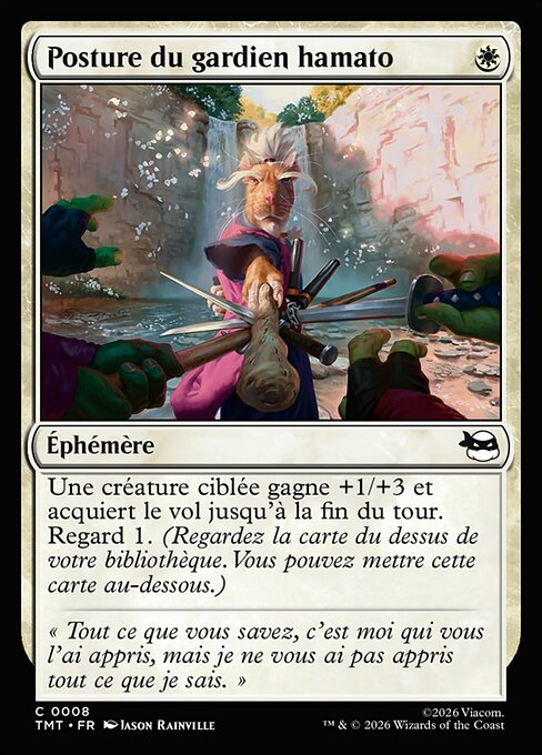 Hamato Guardian Stance