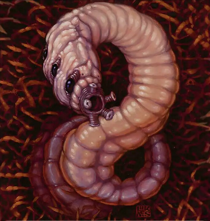Worm
