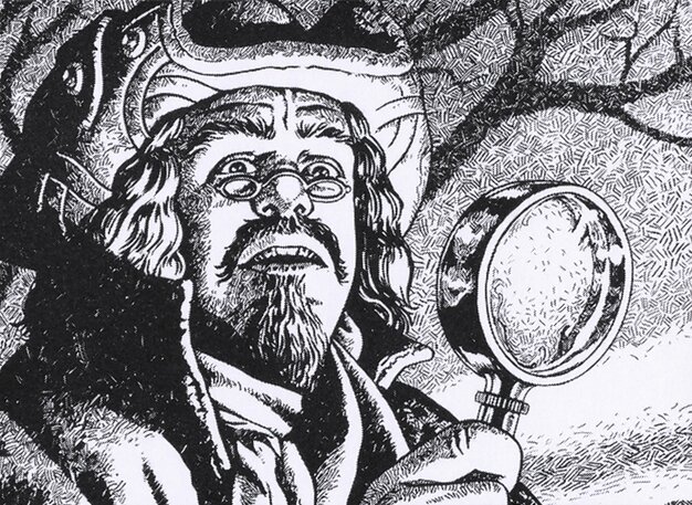 Jacob Hauken, Inspector // Hauken's Insight