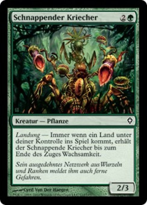 Schnappender Kriecher