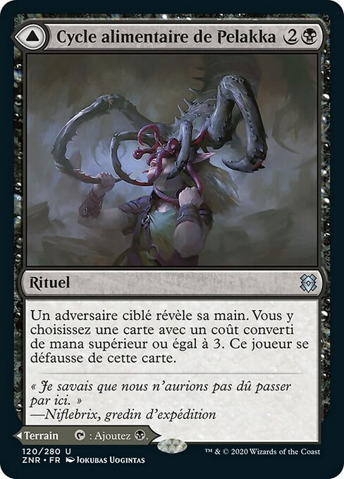 Pelakka Predation // Pelakka Caverns