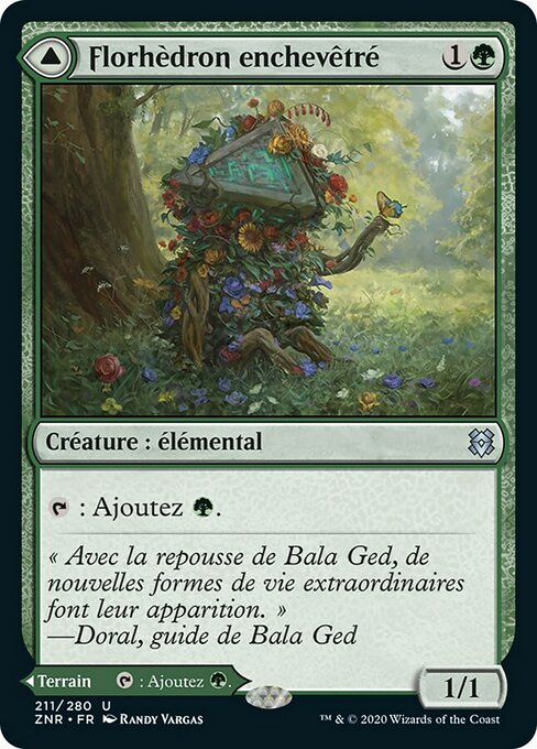 Tangled Florahedron // Tangled Vale