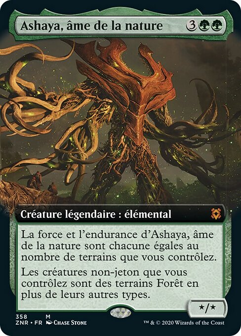 Ashaya, Soul of the Wild
