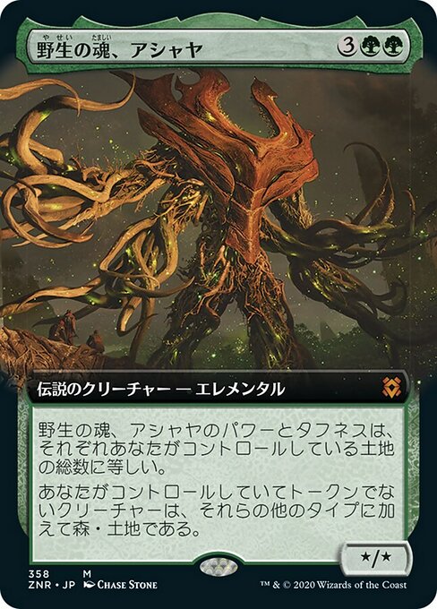 Ashaya, Soul of the Wild