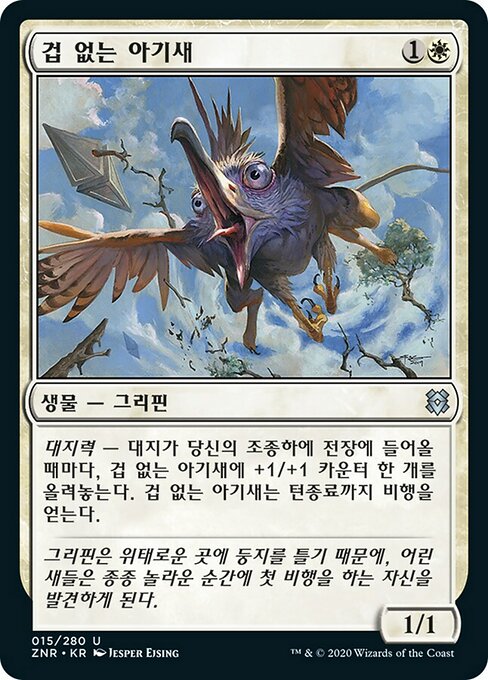 겁 없는 아기새