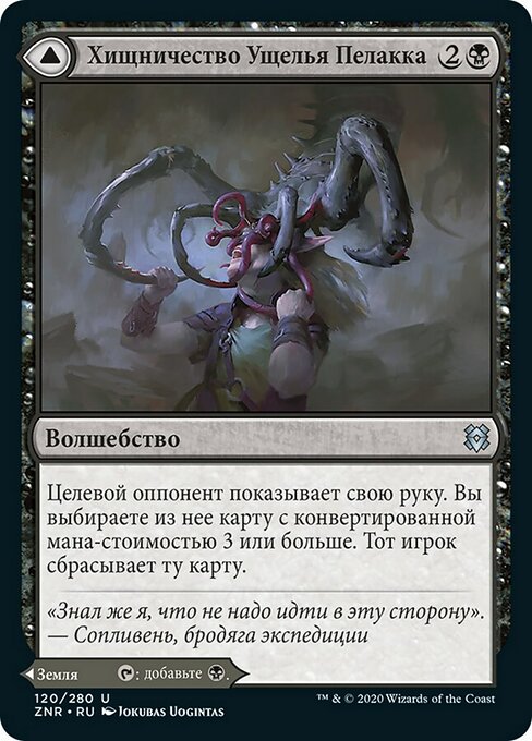 Pelakka Predation // Pelakka Caverns